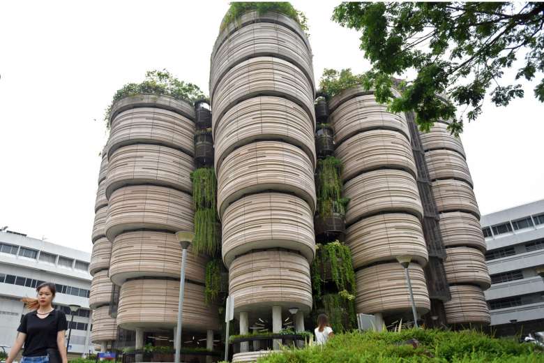 The Hive
